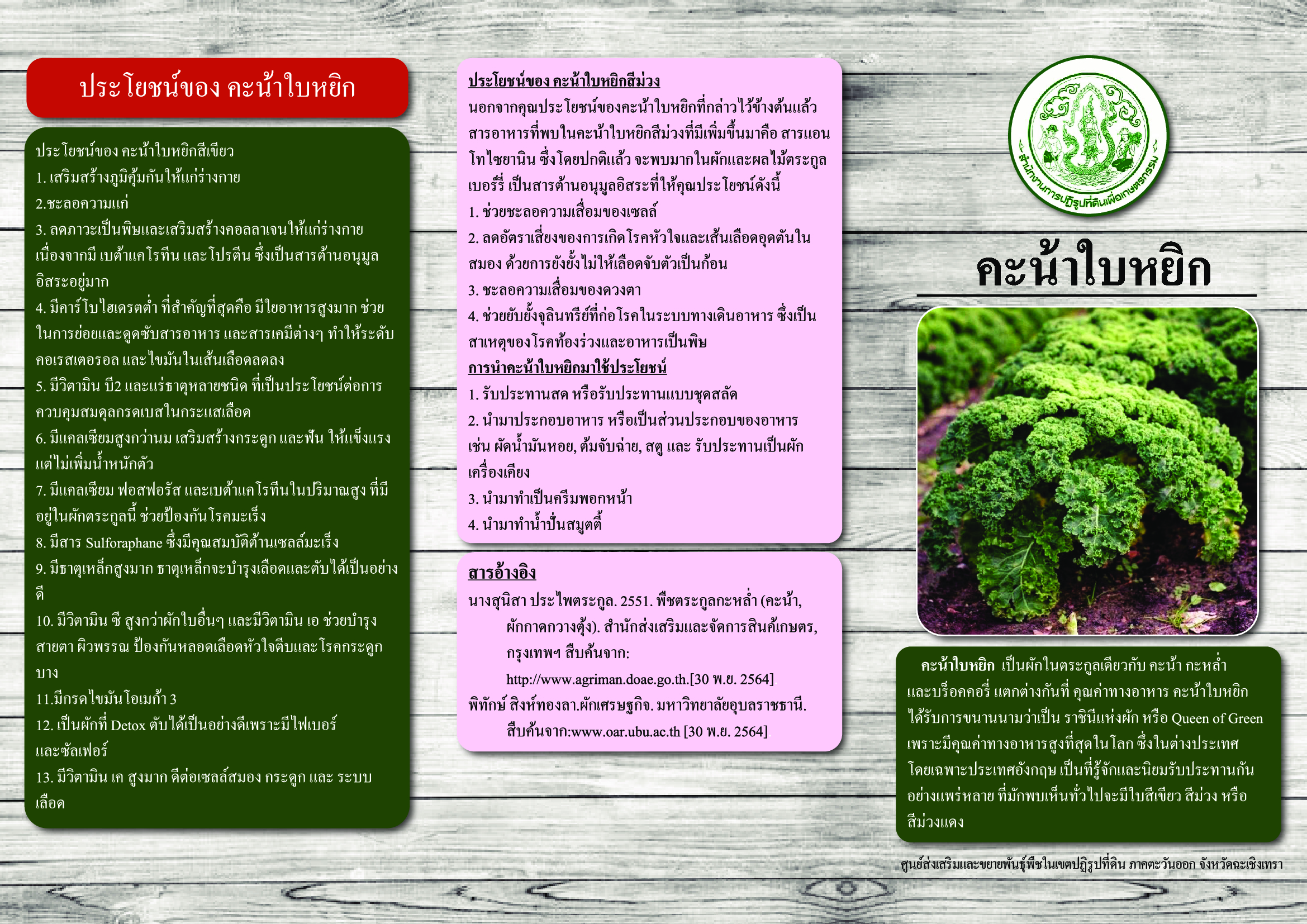 title - คะน้าใบหยิก (ศูนย์ส่งเสริมฯ ภาคตะวันออก)